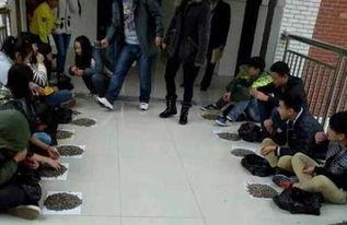 萍乡卫校吃瓜墙,校园八卦背后的真相与反思