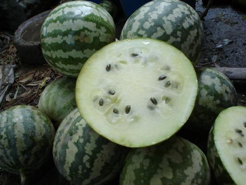 绿宝瓜怎么吃最好,绿宝瓜的最佳食用方法揭秘