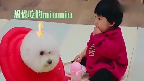 吃瓜妞妈,揭秘育儿路上的酸甜苦辣