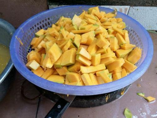 草鱼吃洋瓜吗怎么吃,营养搭配新尝试