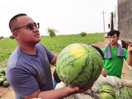 偃师吃瓜新闻事件,一场网络狂欢背后的真相与反思