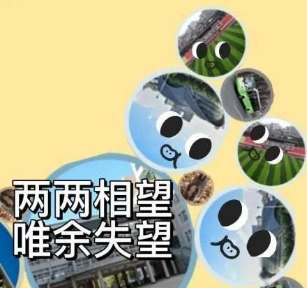 带你吃瓜节食挑战,带你体验“带你吃瓜节食”的独特魅力